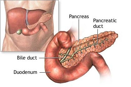 1532051723565094wajJ.png 圖片192.png