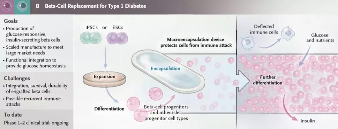 1557363594865993TNEz.jpg 微信圖片_20190509085942.jpg