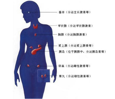 1557371467188283q3Gu.png 圖片2.png